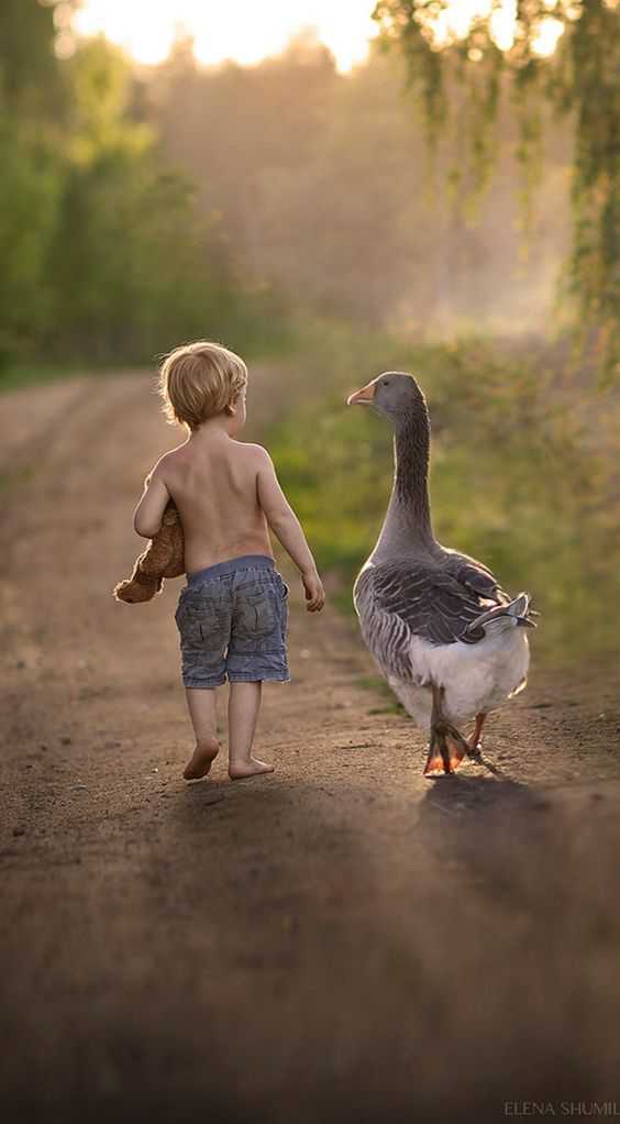 That is so darn cute boy and goose oh how cute typical Farm kid