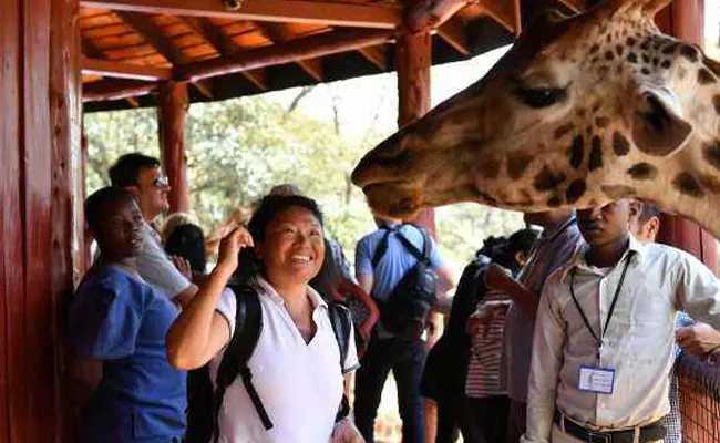 It's not a joke! Chinese tourists are heading to Africa to avoid the summer heat