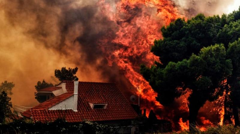 At least 20 dead, 100 injured in Greek wildfire near Athens, residents flee homes