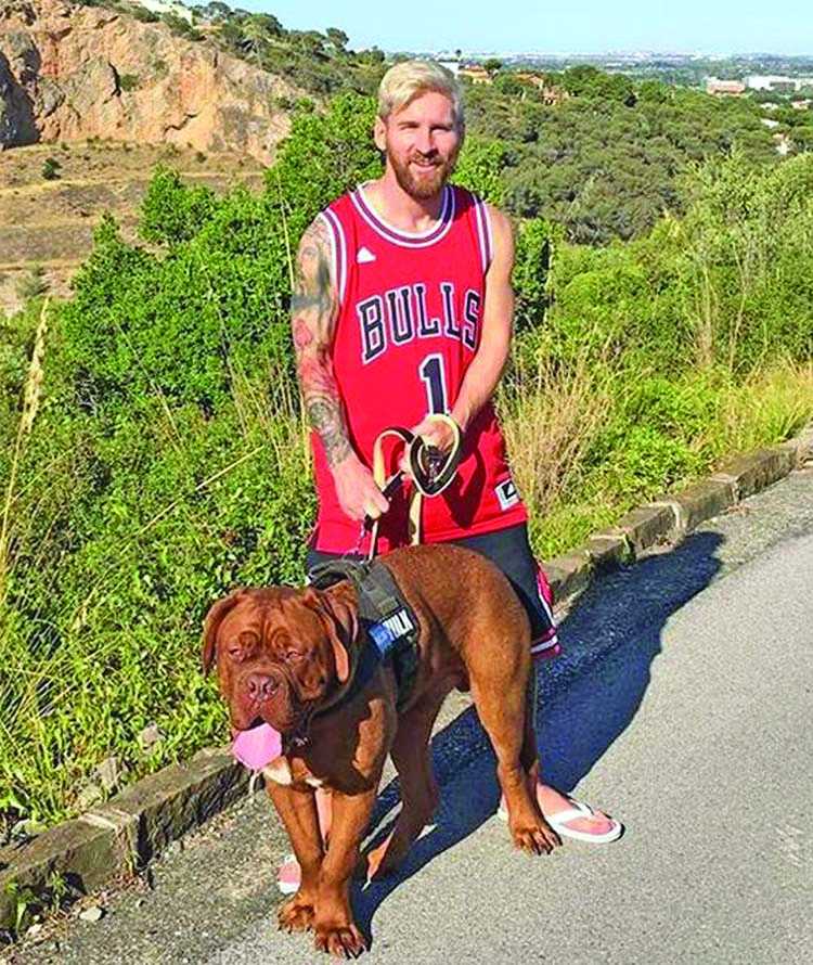 Messi messing with dog!