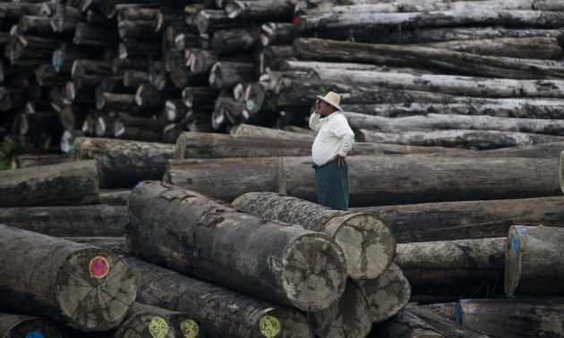 Myanmar overhauls forestry body amid surge in illegal logging