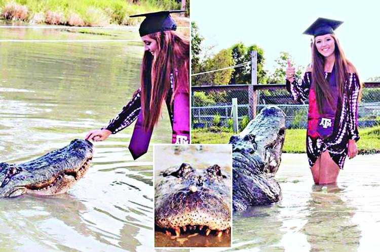 US student takes alligator graduation snaps