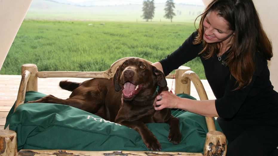 Montana resort caters to dogs with gourmet meals, mixers and four-legged fashion shows