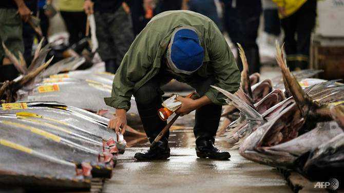 Tokyo's Tsukiji holds last tuna auction before move