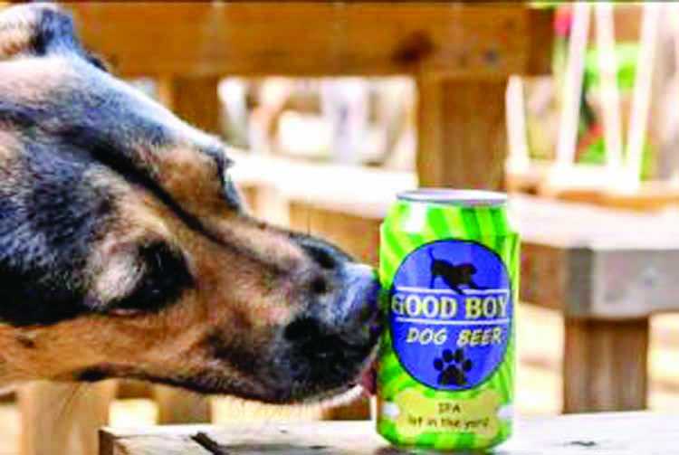 Houston couple creates 'Good Boy' beer for dogs