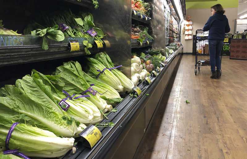 Canada, U.S. warn of E. coli-tainted romaine lettuce