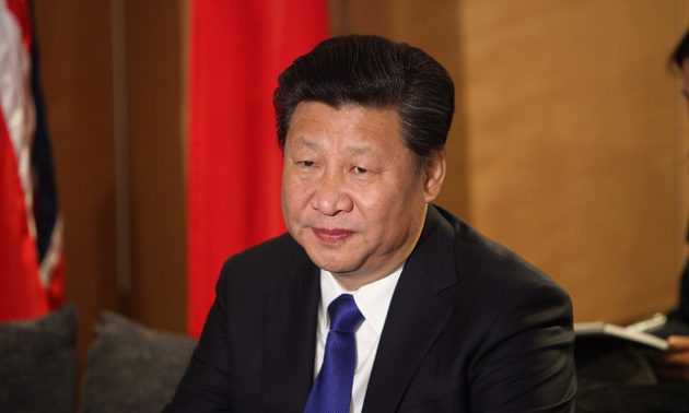 Xi states economic goals prior to G20 summit in Argentina