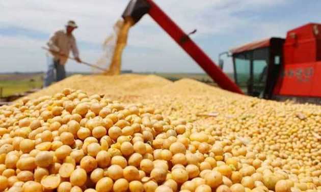 Skepticism that China will rush to restart US soybean imports