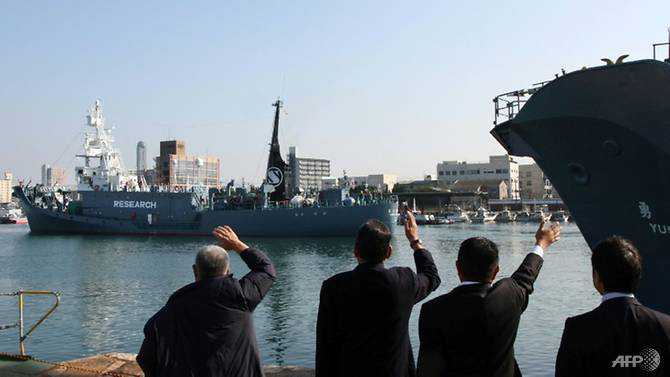 Japan 'mulling IWC withdrawal' to resume commercial whaling