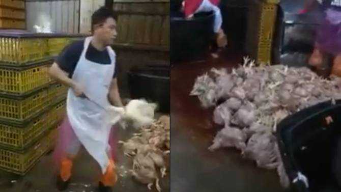 Malaysia slaughterhouse under probe for unhygienic practices after viral video