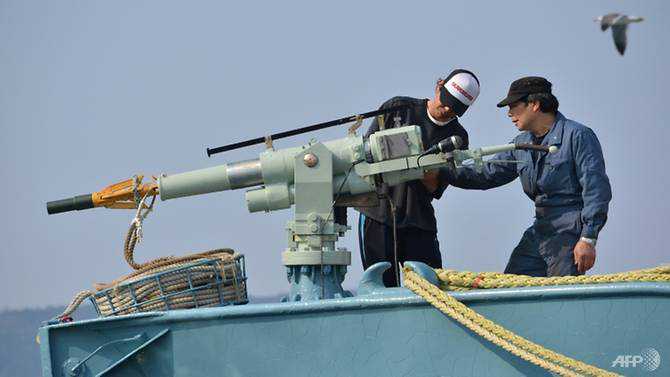 Japan to resume commercial whaling after withdrawal from the International Whaling Commission