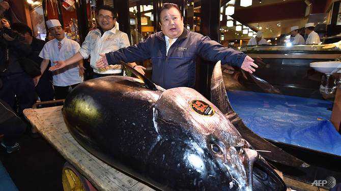 Record US$3.1 million paid in New Year's tuna auction at Japan's new market