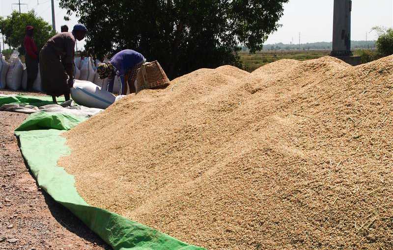 Japan’s Oshima to produce rice-drying machines in Myanmar