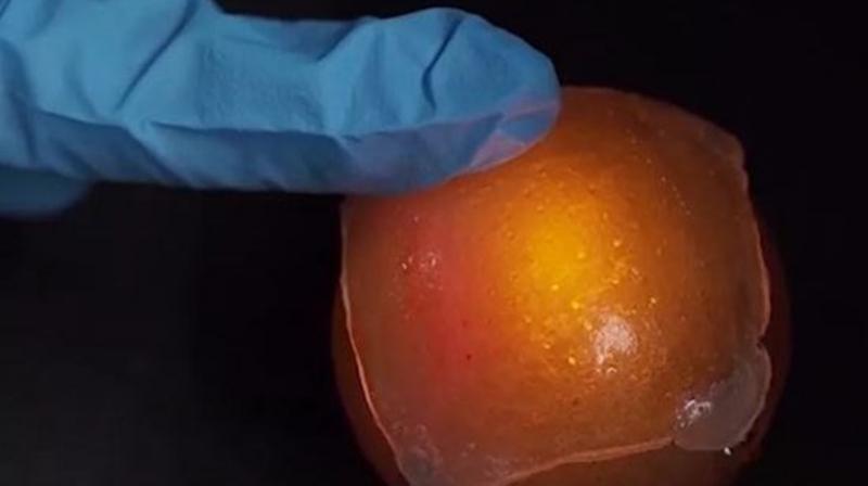 Researchers develop jellyfish-inspired self-healing skin