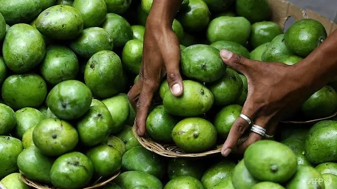 Philippine mango prices plummet amid 2 million kg oversupply