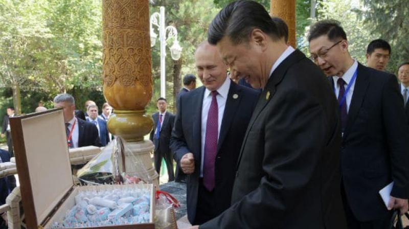 Putin celebrates close friend China prez Xi’s 66th birthday, gifts ice cream