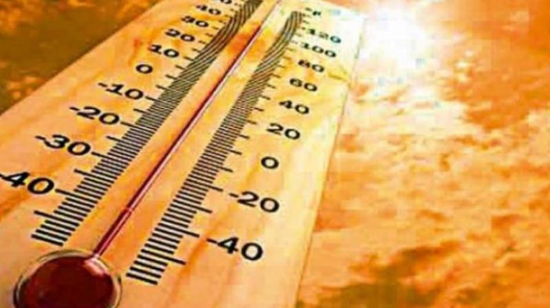 Europe sweats as record breaking temperature soars