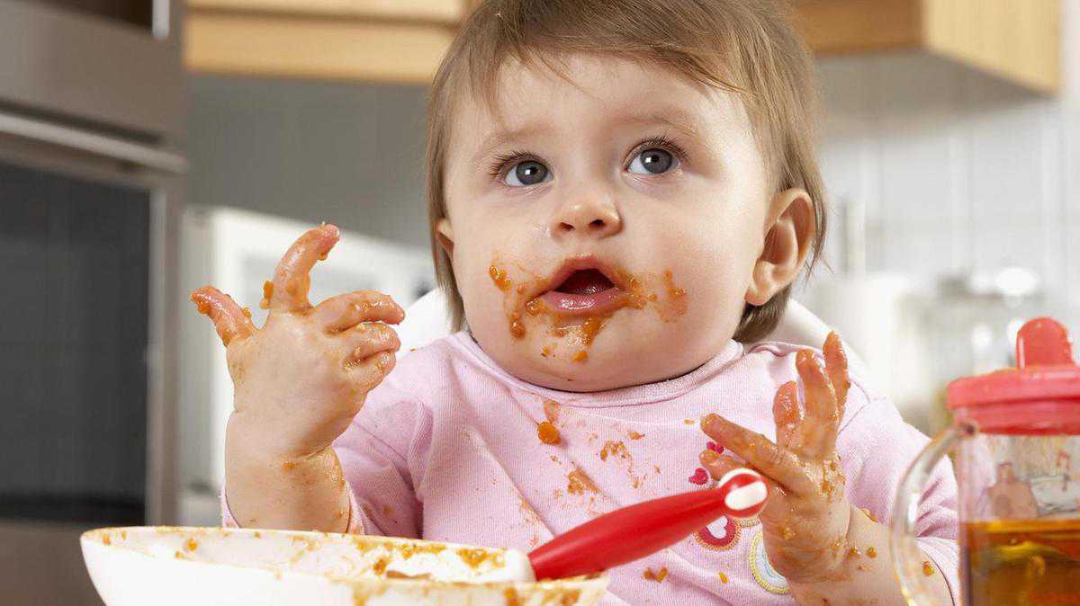Ban baby foods with added sugar, urges the World Health Organisation