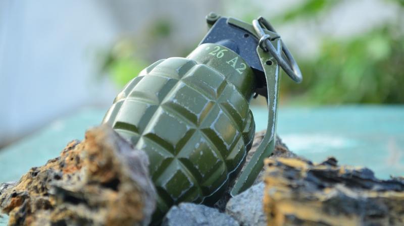 Indian-origin puts toy grenade in Singapore to see reaction, fined