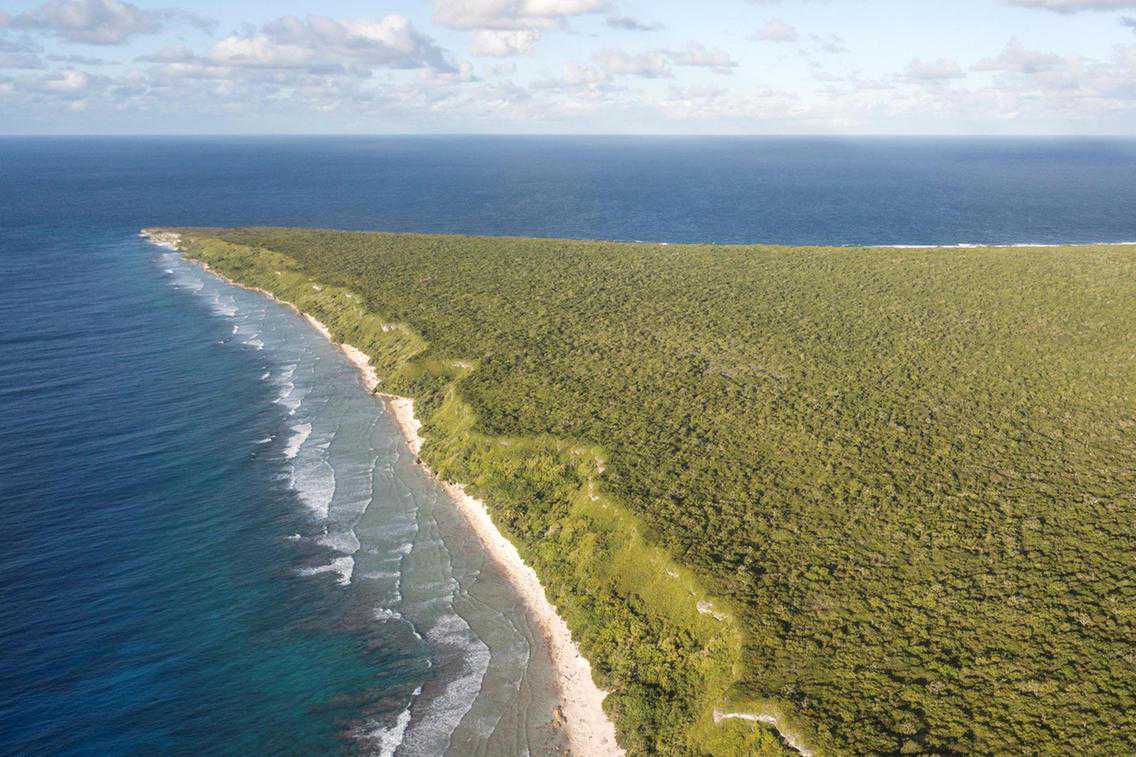 Henderson Island: the Pacific paradise we're losing to a sea of plastic