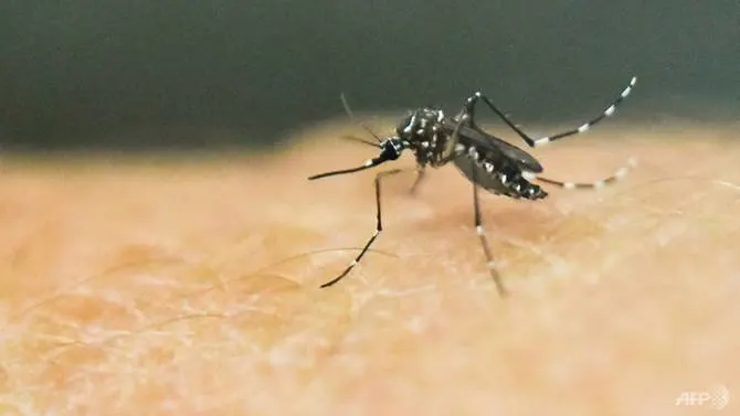 Philippines declares national dengue epidemic as 622 people die of disease