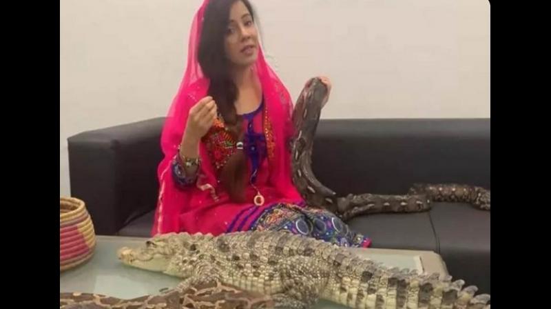 Pakistani popstar lands in legal trouble after threatening PM Modi with snakes, python