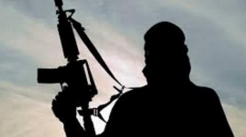 Pakistan terror groups may attack India post J&K move: US