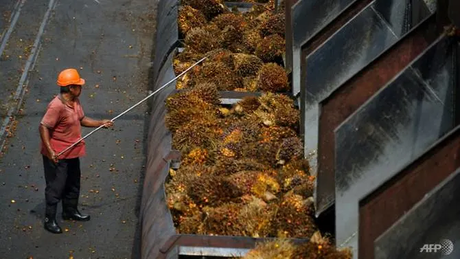 Kashmir row sparks Malaysia, India palm oil tensions