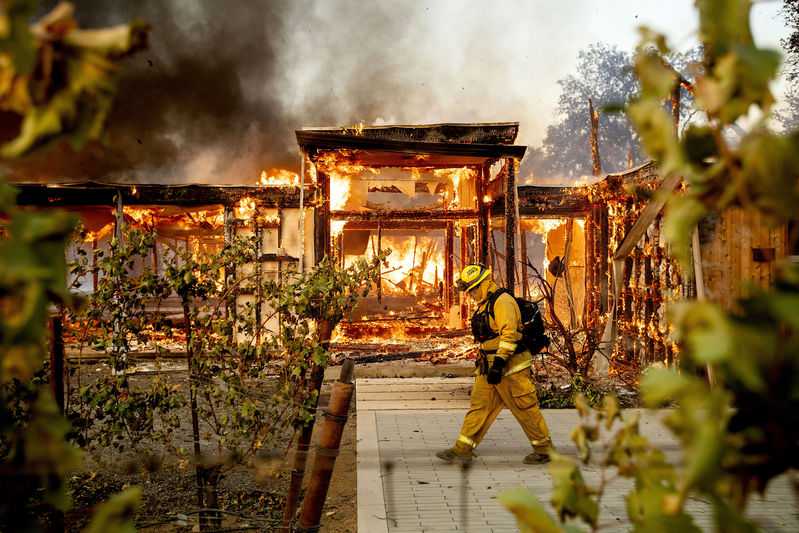 California wineries shut as fire tears through state’s north
