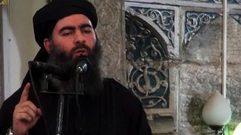 Syrian agent stole ISIS chief Baghdadi's underwear for DNA test before his death