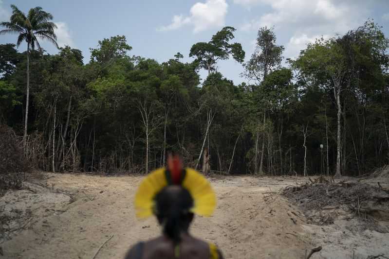 Amazon deforestation in Brazil spikes on Bolsonaro’s watch