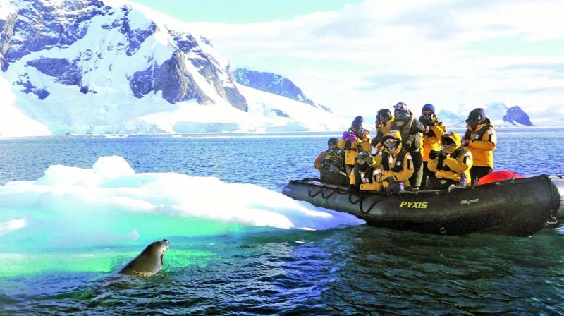Amid criticism, 80,000 tourists visit Antarctica to swim with penguins