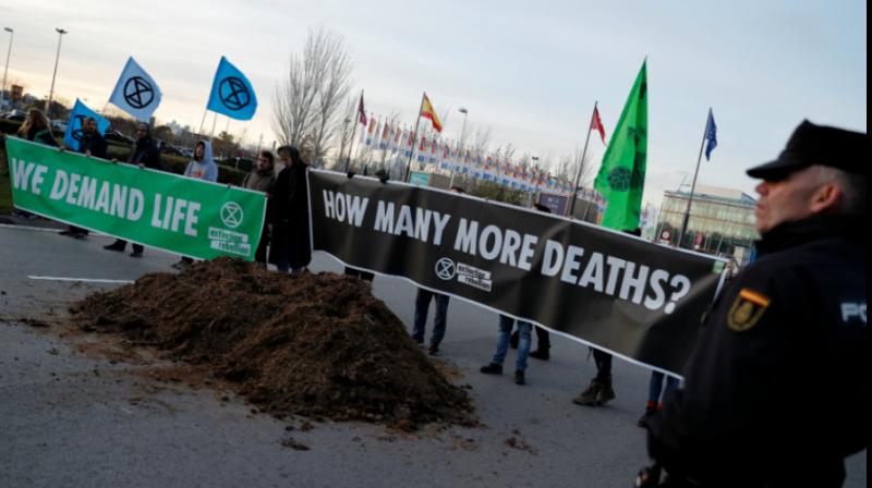 Activists frustrated with climate talks dump horse manure outside Madrid summit