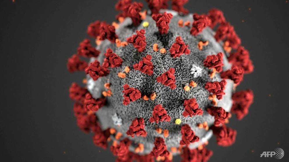 The ‘novel coronavirus’ could get an official name in days: Report