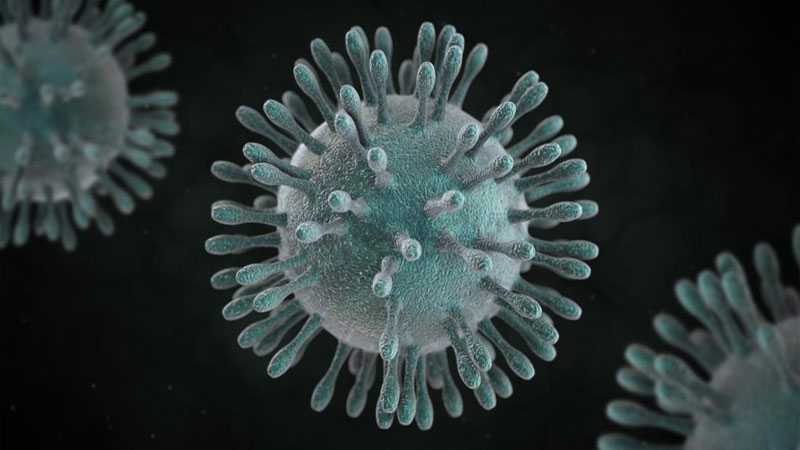 Temperature, humidity reduce coronavirus transmitting: Study