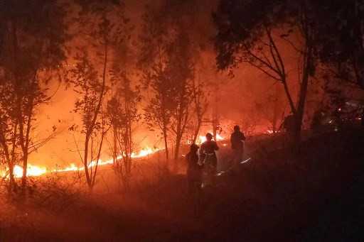 Nineteen killed in massive China forest fire