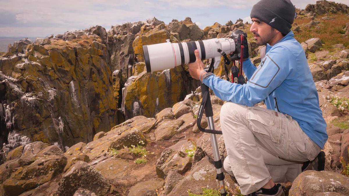 Sheikh Hamdan posts Instagram throwback to his time stalking puffins on a remote Scottish Island