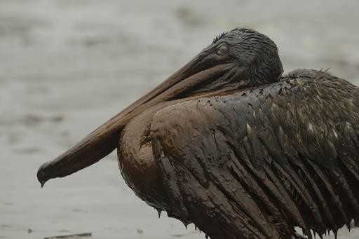 Ten years after Deepwater Horizon oil spill, fears of offshore drilling persist