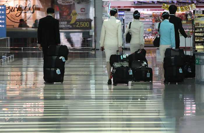 Budget Carriers Boost Domestic Flights Despite Losses