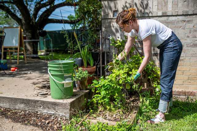 Home gardening blooms around the world during coronavirus lockdowns