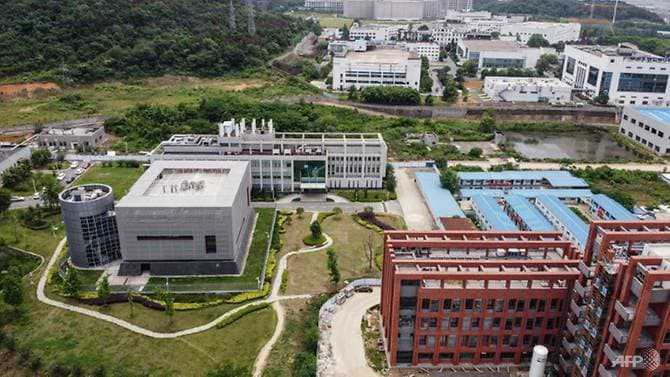 Wuhan lab had three live bat coronaviruses: Chinese state media