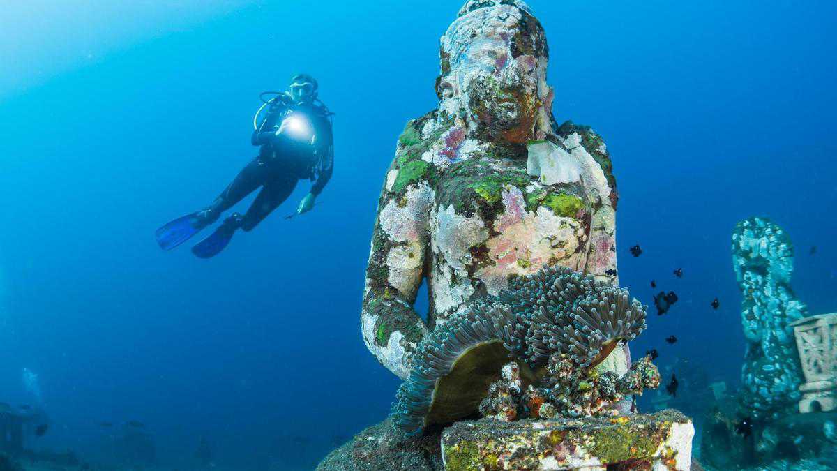How a speak to Jean-Michel Cousteau inspired me to understand to scuba dive