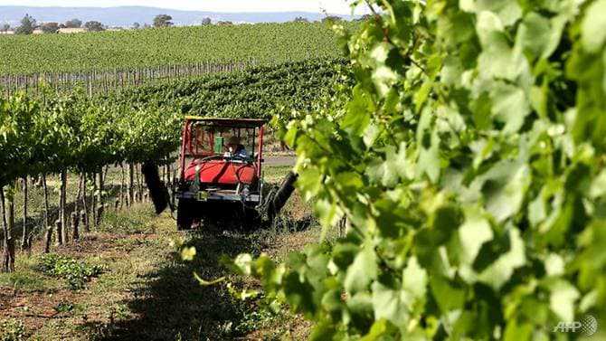 China launches second probe into Australian wine imports