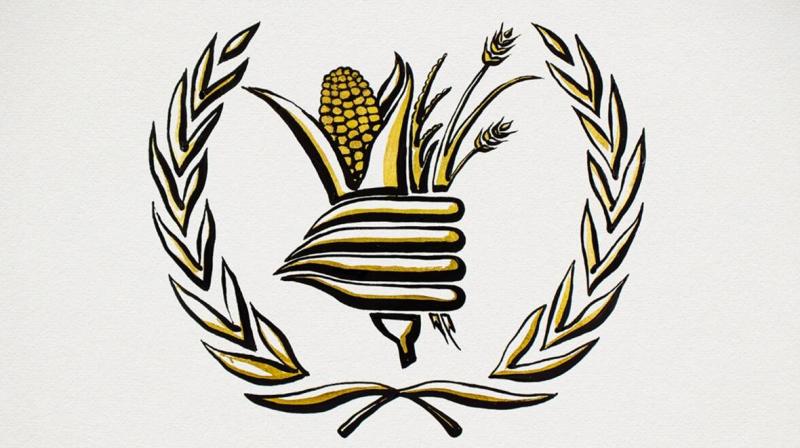 World Food Programme wins Nobel Peace Prize for efforts to combat hunger