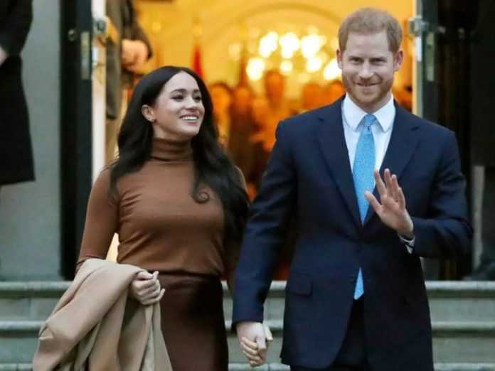Prince Harry and Meghan Markle quit public media: report