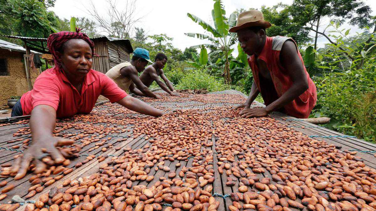 Africa's cocoa suppliers want chocolate manufacturers to break off a good bigger little bit of profits