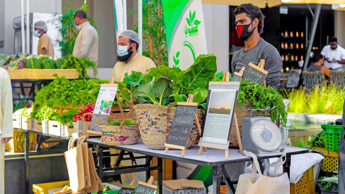 Organic and natural fruit, veg, eggs and honey at Dubai's latest Saturday farmers' market