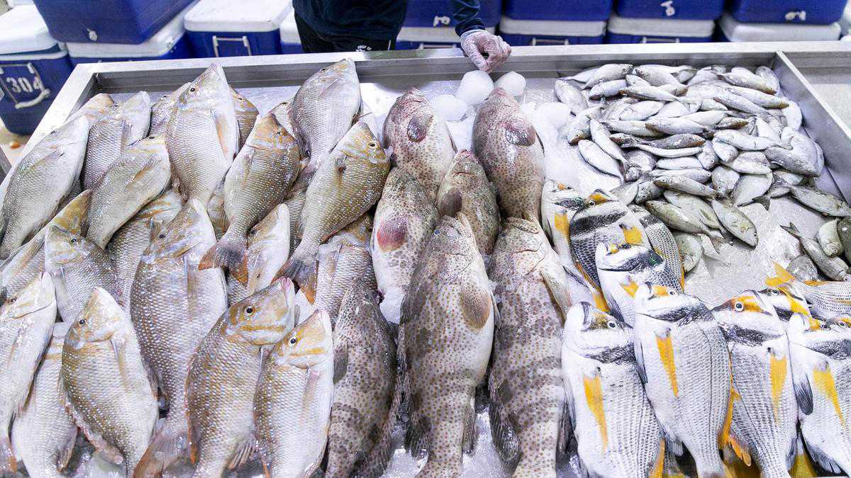 What's Fish Free February and why could it be catching on?