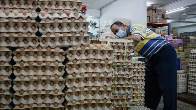 Malaysia inspecting Selangor egg farm after Salmonella bacteria prompts Singapore recall