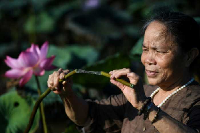 How primary Vietnamese 'lotus silk' weaver rose to success